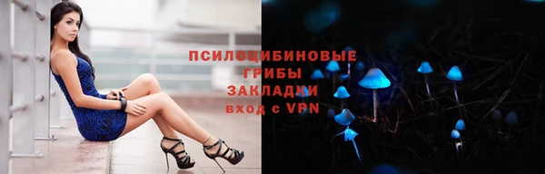 дмт Алзамай
