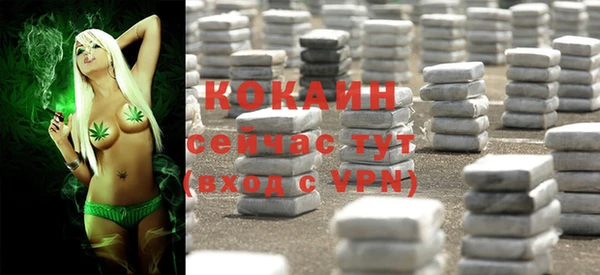 кокс Алексин