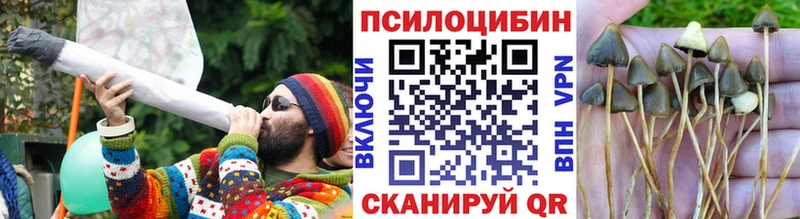 Псилоцибиновые грибы мухоморы  что такое   Дегтярск 