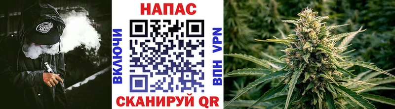 где купить   Дегтярск  Конопля семена 